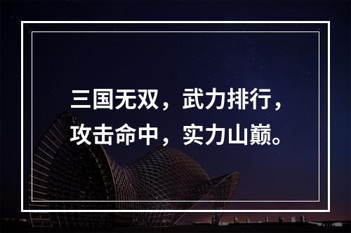 三国无双，武力排行，攻击命中，实力山巅。