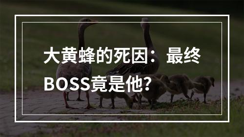 大黄蜂的死因：最终BOSS竟是他？