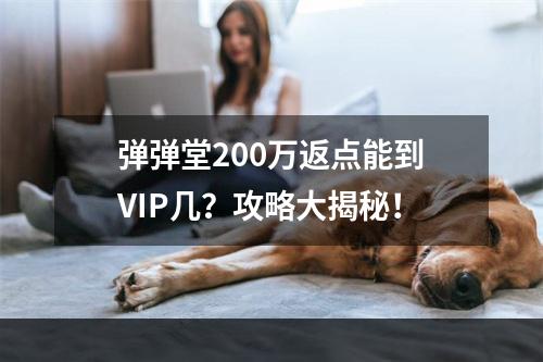 弹弹堂200万返点能到VIP几？攻略大揭秘！