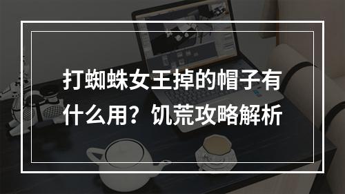 打蜘蛛女王掉的帽子有什么用？饥荒攻略解析