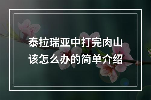 泰拉瑞亚中打完肉山该怎么办的简单介绍