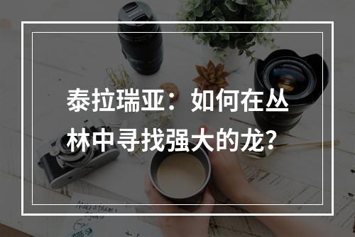 泰拉瑞亚：如何在丛林中寻找强大的龙？