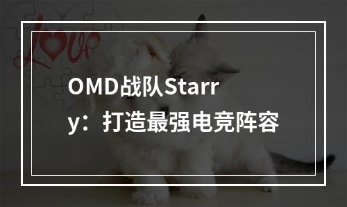 OMD战队Starry：打造最强电竞阵容