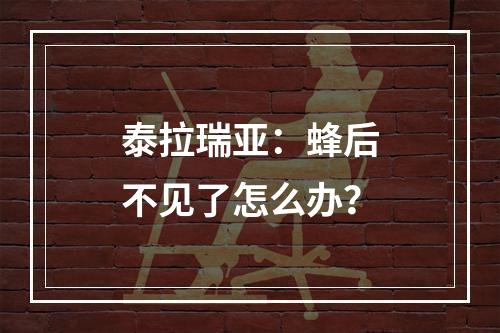 泰拉瑞亚：蜂后不见了怎么办？