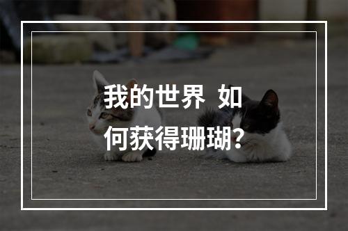 我的世界  如何获得珊瑚？