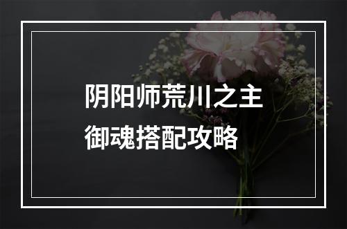 阴阳师荒川之主御魂搭配攻略