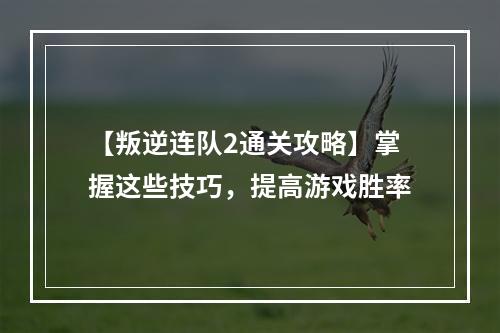 【叛逆连队2通关攻略】掌握这些技巧，提高游戏胜率