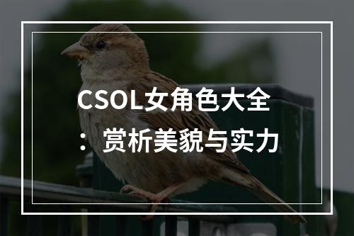 CSOL女角色大全：赏析美貌与实力