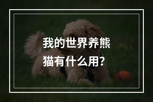 我的世界养熊猫有什么用？