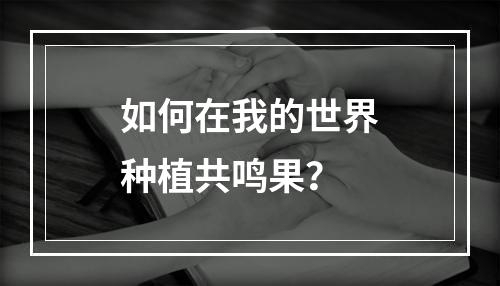 如何在我的世界种植共鸣果？