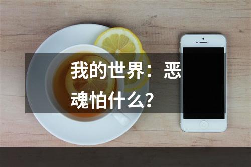 我的世界：恶魂怕什么？