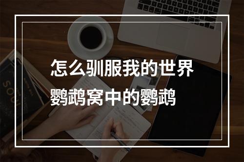 怎么驯服我的世界鹦鹉窝中的鹦鹉