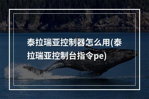 泰拉瑞亚控制器怎么用(泰拉瑞亚控制台指令pe)