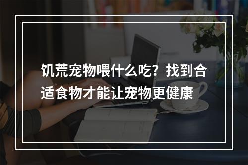 饥荒宠物喂什么吃？找到合适食物才能让宠物更健康