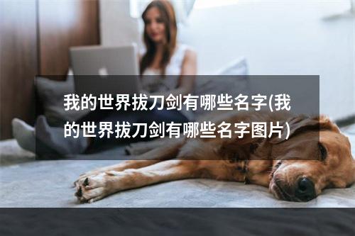 我的世界拔刀剑有哪些名字(我的世界拔刀剑有哪些名字图片)