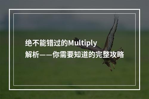 绝不能错过的Multiply解析——你需要知道的完整攻略