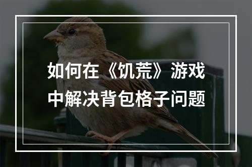 如何在《饥荒》游戏中解决背包格子问题