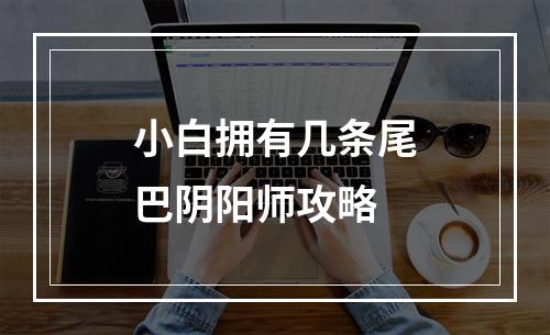 小白拥有几条尾巴阴阳师攻略