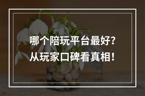 哪个陪玩平台最好？从玩家口碑看真相！