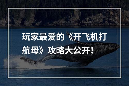 玩家最爱的《开飞机打航母》攻略大公开！