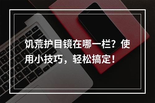 饥荒护目镜在哪一栏？使用小技巧，轻松搞定！