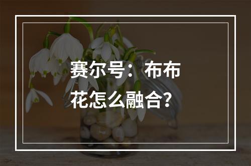 赛尔号：布布花怎么融合？