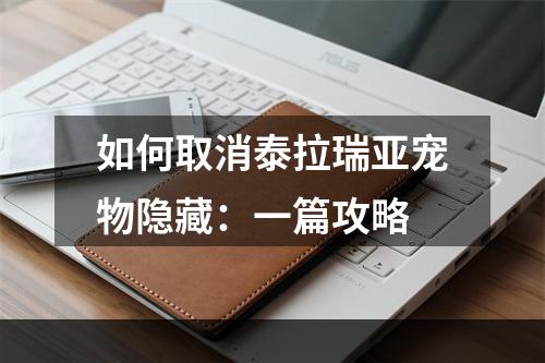 如何取消泰拉瑞亚宠物隐藏：一篇攻略