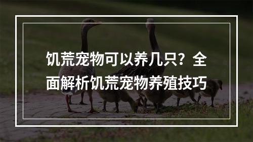 饥荒宠物可以养几只？全面解析饥荒宠物养殖技巧