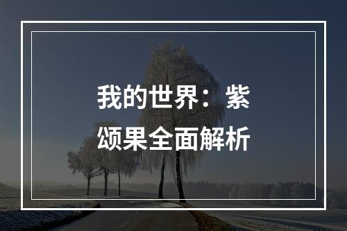 我的世界：紫颂果全面解析