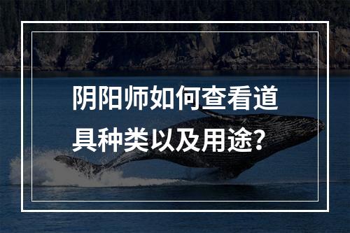 阴阳师如何查看道具种类以及用途？