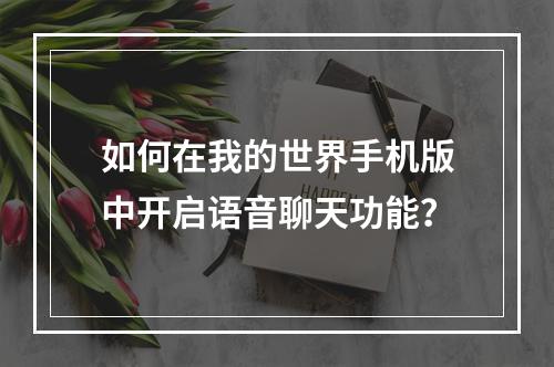 如何在我的世界手机版中开启语音聊天功能？