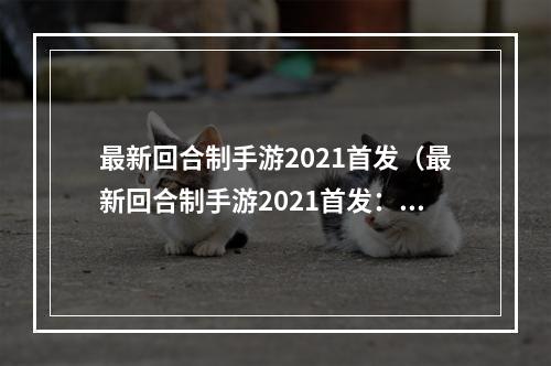 最新回合制手游2021首发（最新回合制手游2021首发：《修仙志》震撼上线！）