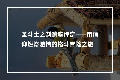 圣斗士之麒麟座传奇——用信仰燃烧激情的格斗冒险之旅