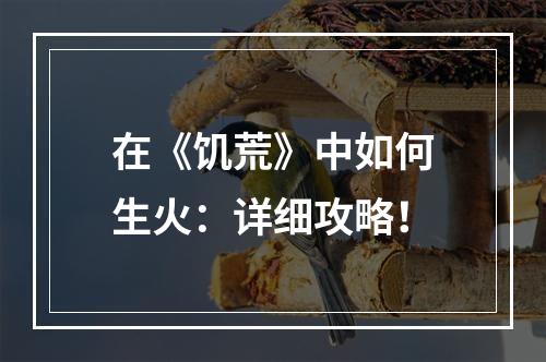 在《饥荒》中如何生火：详细攻略！