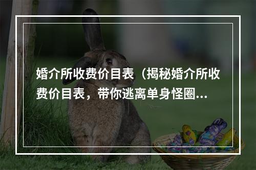 婚介所收费价目表（揭秘婚介所收费价目表，带你逃离单身怪圈）