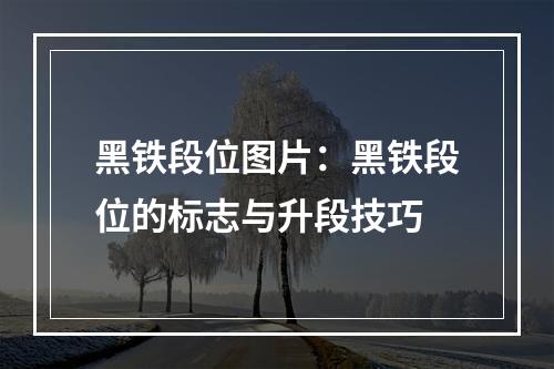 黑铁段位图片：黑铁段位的标志与升段技巧