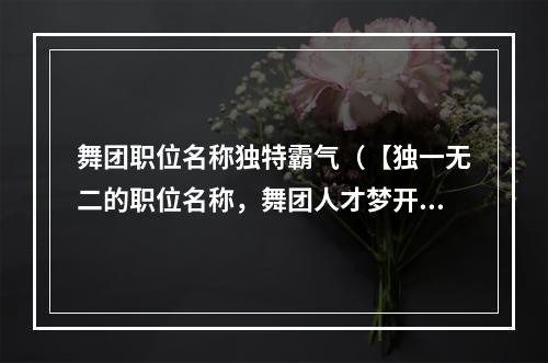 舞团职位名称独特霸气（【独一无二的职位名称，舞团人才梦开始的地方】）