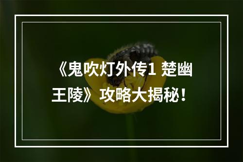 《鬼吹灯外传1 楚幽王陵》攻略大揭秘！