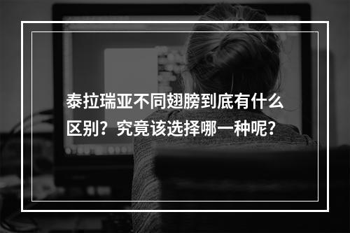 泰拉瑞亚不同翅膀到底有什么区别？究竟该选择哪一种呢？