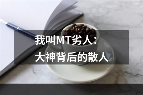 我叫MT劣人：大神背后的散人