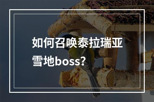 如何召唤泰拉瑞亚雪地boss？