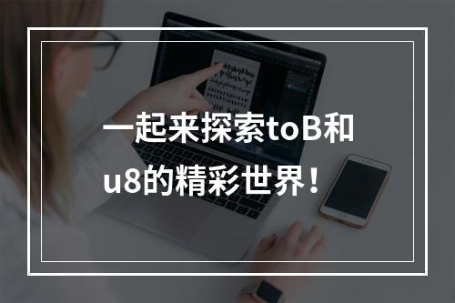 一起来探索toB和u8的精彩世界！