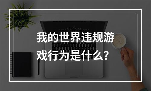 我的世界违规游戏行为是什么？