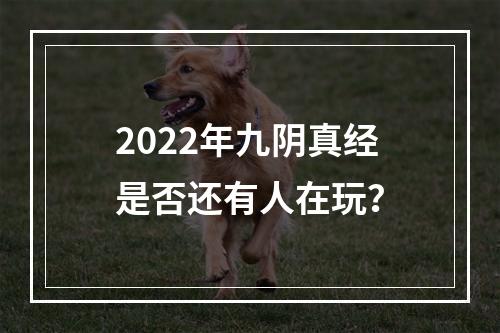 2022年九阴真经是否还有人在玩？