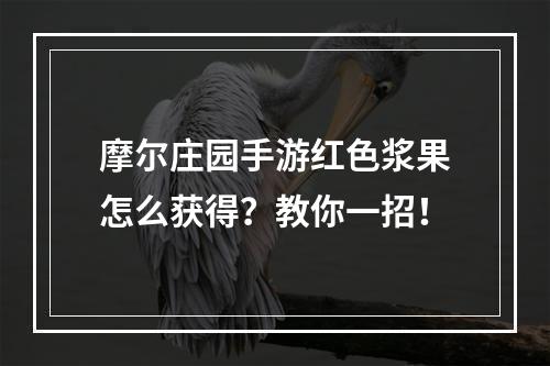 摩尔庄园手游红色浆果怎么获得？教你一招！