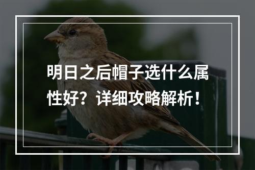 明日之后帽子选什么属性好？详细攻略解析！