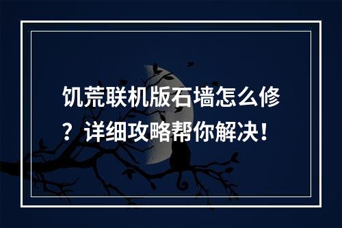 饥荒联机版石墙怎么修？详细攻略帮你解决！