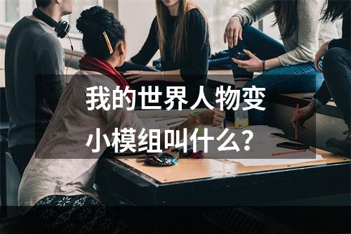 我的世界人物变小模组叫什么？