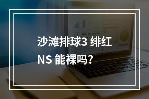 沙滩排球3 绯红NS 能裸吗？