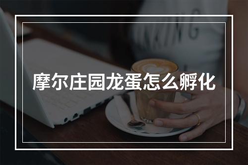 摩尔庄园龙蛋怎么孵化